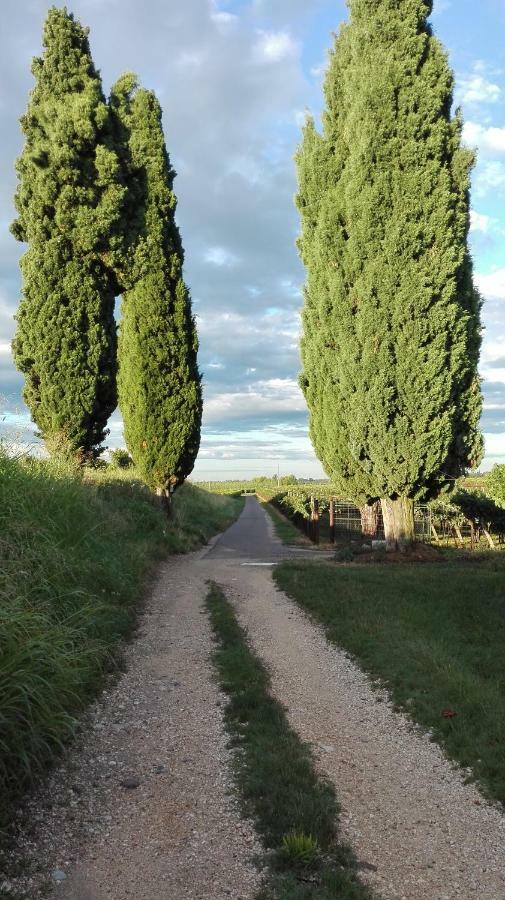 Bed & Breakfast Da Miriam Castelnuovo del Garda