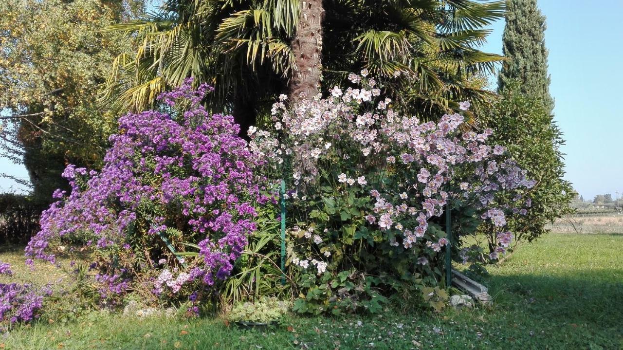 Bed & Breakfast Da Miriam